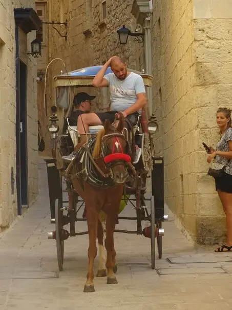 carriage on the streets of Mdina