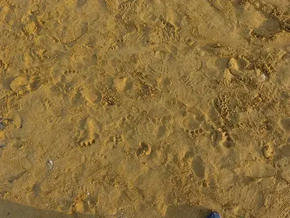 A close view of the distinctive reddish-golden sand that gives Ramla l-Ħamra its Maltese name.